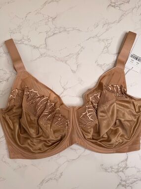HSIA NWT 36H Luxe Bloom Plus Size Unlined Underwire Bra